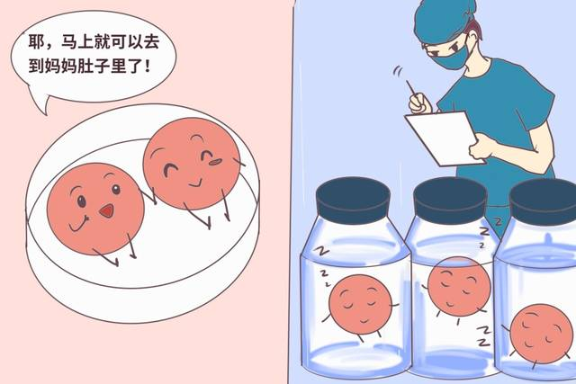 哪些胚胎可用于移植？了解下！