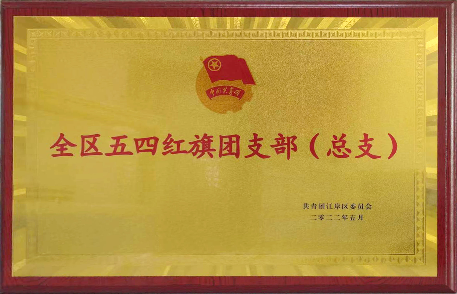 共青團(tuán)成立100周年之際，東信醫(yī)藥團(tuán)支部喜獲武漢市江岸區(qū)“全區(qū)五...